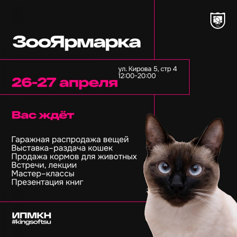 Открыт сбор корма для кошек в приют «Мягкие лапки»