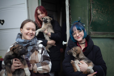 Воскресенье с хвостатыми: как мы провели день в приюте